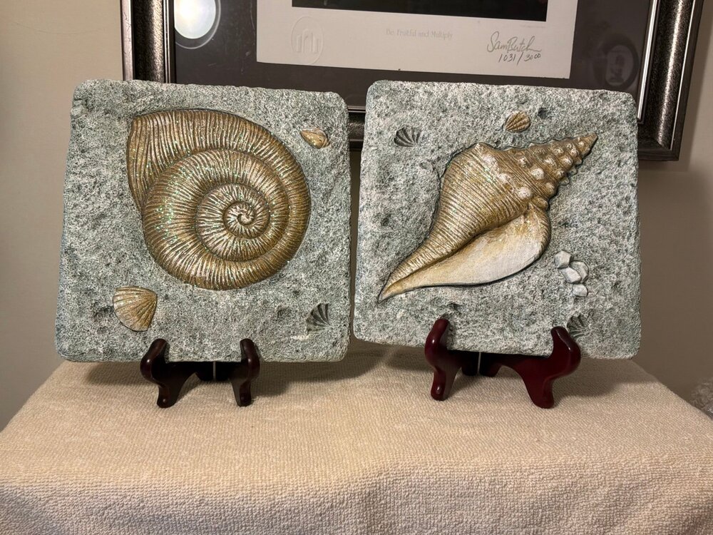Wall plaques / Sea Shells